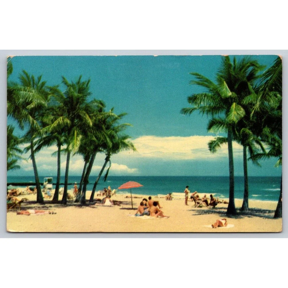Vintage Florida Beach Postcard H.W. Hannau Palm Trees Ocean Mirro-Krome HWH-8